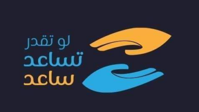 المبادرة