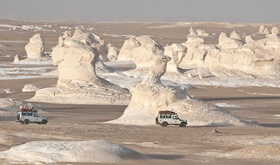 محمية الصحراء البيضاء