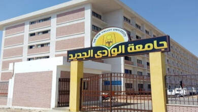 جامعة الوادي الجديد