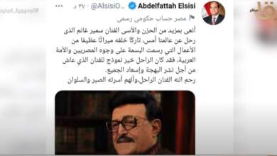 الرئيس السيسي يدعم الفنانين