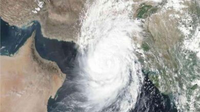 اعصار شاهين