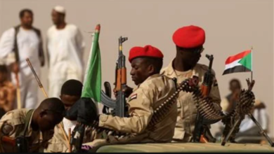 قوات الجيش السودانى