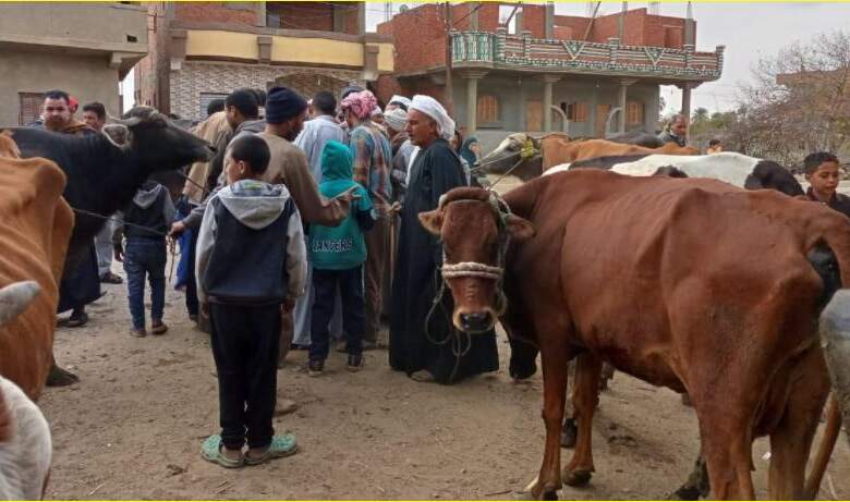 قافلة بيطرية