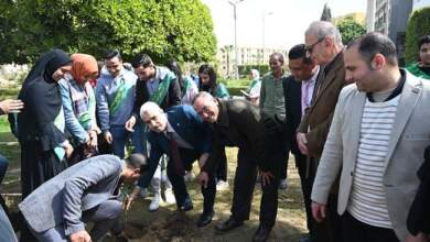 د.محمد سعيد أبو الغار، نائب رئيس جامعة الفيوم يغرس شجرة
