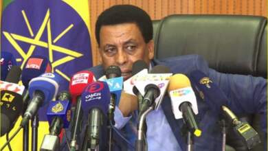 المتحدث الرسمي باسم وزارة الخارجية الأثيوبية دينا مفتي