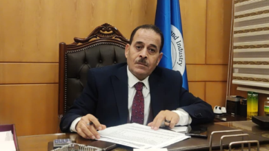 المهندس محمود عبدالفتاح، عضواتحاد الصناعات المصرية