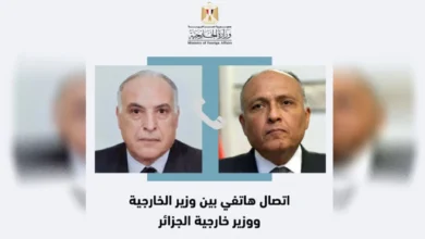 اتصال بين الوزير شكرى ونظيره الجزائرى