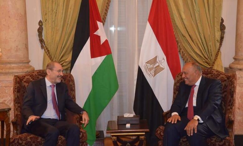 لقاء سامح شكري ووزير الخارجية الأردن