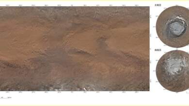 صور لسطح المريخ