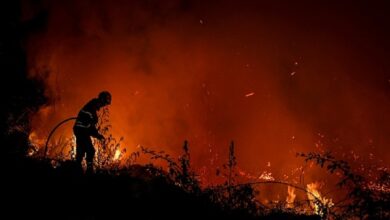 حرائق الغابات بالبرتغال