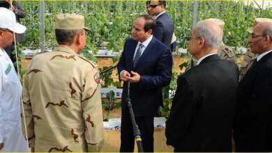 الرئيس السيسى يتفقد الصوب الزراعية فى قاعدة محمد نجيب
