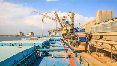 ميناء دمياط يستقبل 32 ألف طن قمح روسي
