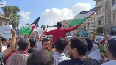 مظاهرات في مصر لدعم فلسطين