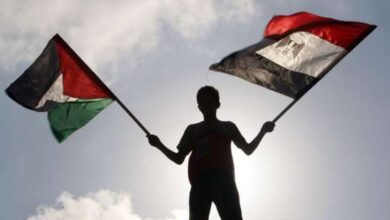 تضامن مصري مع الفلسطينيين