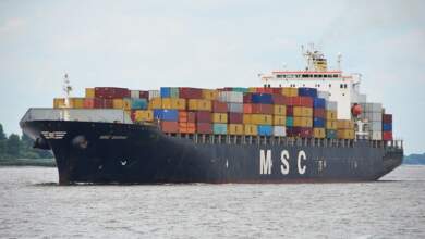 msc sarah v