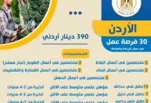 فرص توظيف جديدة للمصريين في الأردن