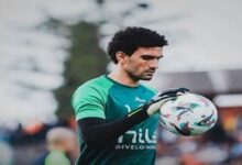 محمد عواد