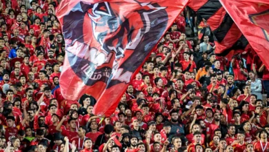 جماهير الأهلي