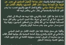 المنشور المشار إليه