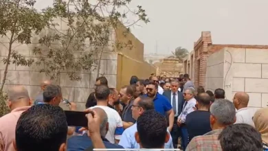 عمرو الدجوي