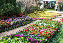 معرض زهور الربيع