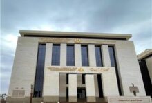 التنظيم والإدارة