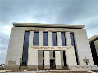 التنظيم والإدارة
