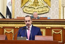 المستشار محمود فوزي