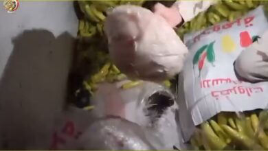 المخدرات المضبوطة