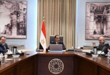 رئيس مجلس الوزراء
