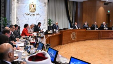 مجلس الوزراء
