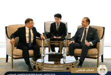 وزير الشئون النيابية والقانونية والتواصل السياسي المستشار محمود فوزي