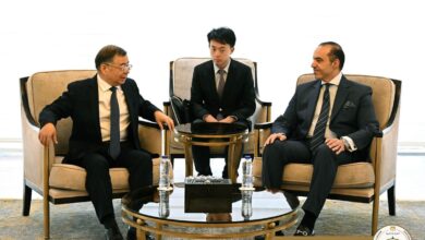 وزير الشئون النيابية والقانونية والتواصل السياسي المستشار محمود فوزي