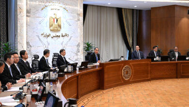 وزيرا الكهرباء والبترول