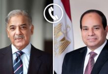 السيسي وشهباز شريف