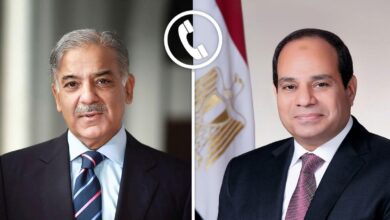 السيسي وشهباز شريف
