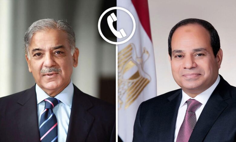 السيسي وشهباز شريف