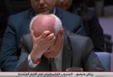 السفير الفلسطيني رياض منصور
