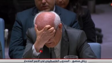 السفير الفلسطيني رياض منصور