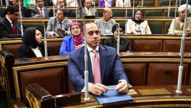 محمود فوزي وزير المجالس النيابية والتواصل السياسي