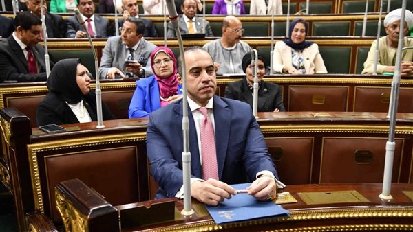 محمود فوزي وزير المجالس النيابية والتواصل السياسي