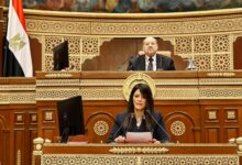 رانيا المشاط