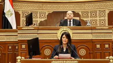 رانيا المشاط