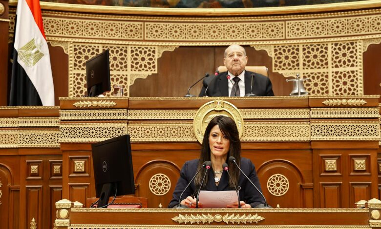 رانيا المشاط