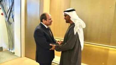 الشيخ محمد بن زايد فى استقبال الرئيس السيسى