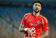 وسام أبو على