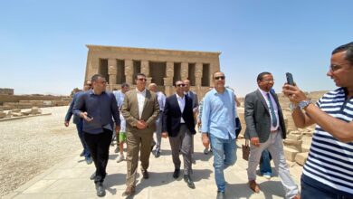 مؤتمر صيادلة جنوب صعيد مصر