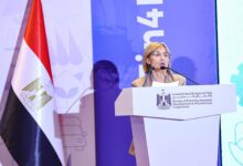 جيلسومينا فيجليوتي، نائب رئيس بنك الاستثمار الأوروبي