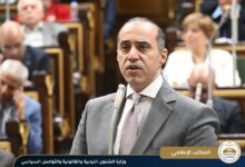 محمد فوزي