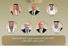 وزير الخارجية والهجرة الدكتور بدر عبد العاطي